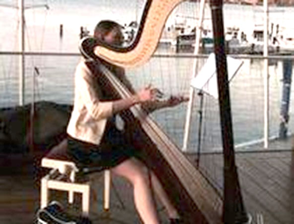 Harpist Perth